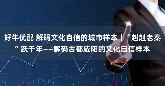 好牛优配 解码文化自信的城市样本｜“赳赳老秦”跃千年——解码古都咸阳的文化自信样本