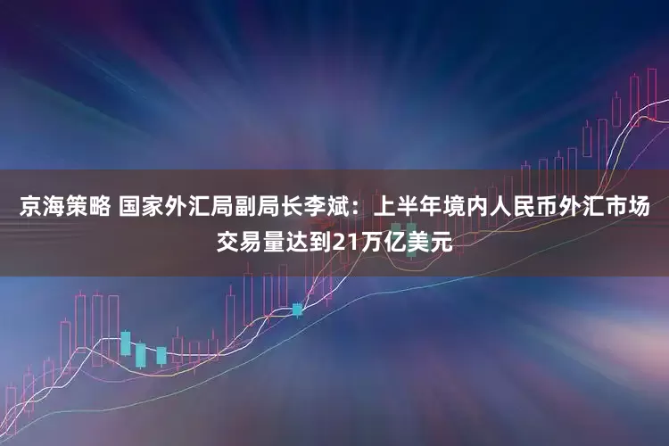 京海策略 国家外汇局副局长李斌：上半年境内人民币外汇市场交易量达到21万亿美元