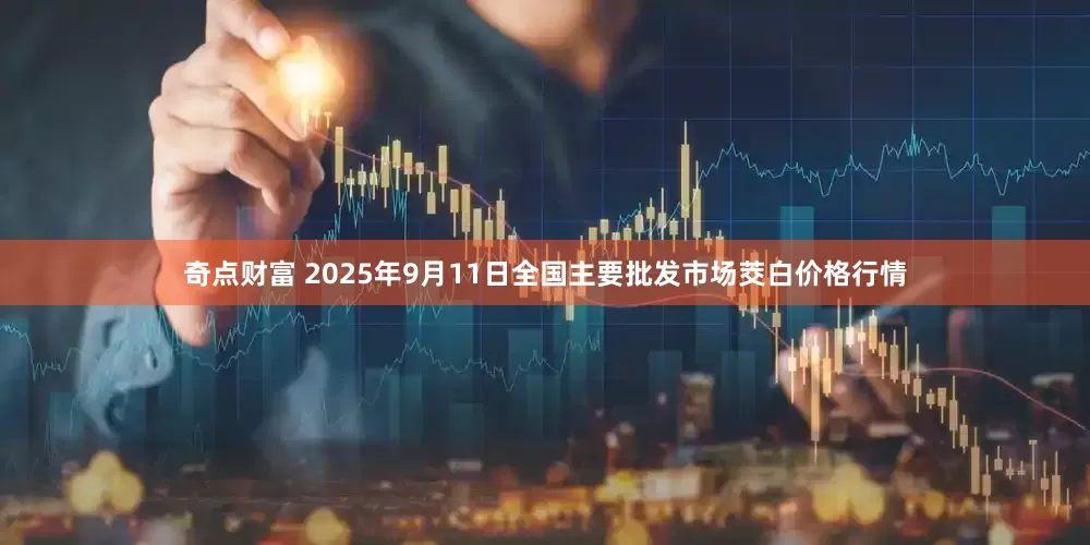 奇点财富 2025年9月11日全国主要批发市场茭白价格行情
